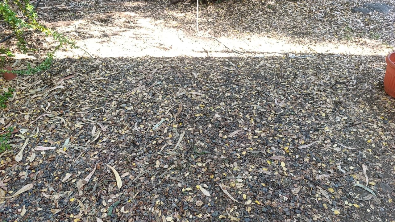 WhatsApp Image 2026-03-16 at 2.07.53 PM (3)