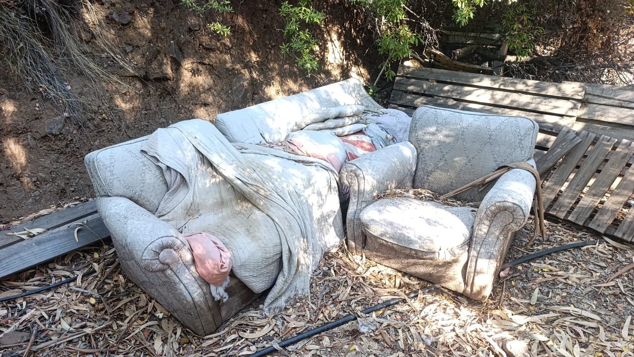 WhatsApp Image 2026-03-16 at 2.07.53 PM (4)