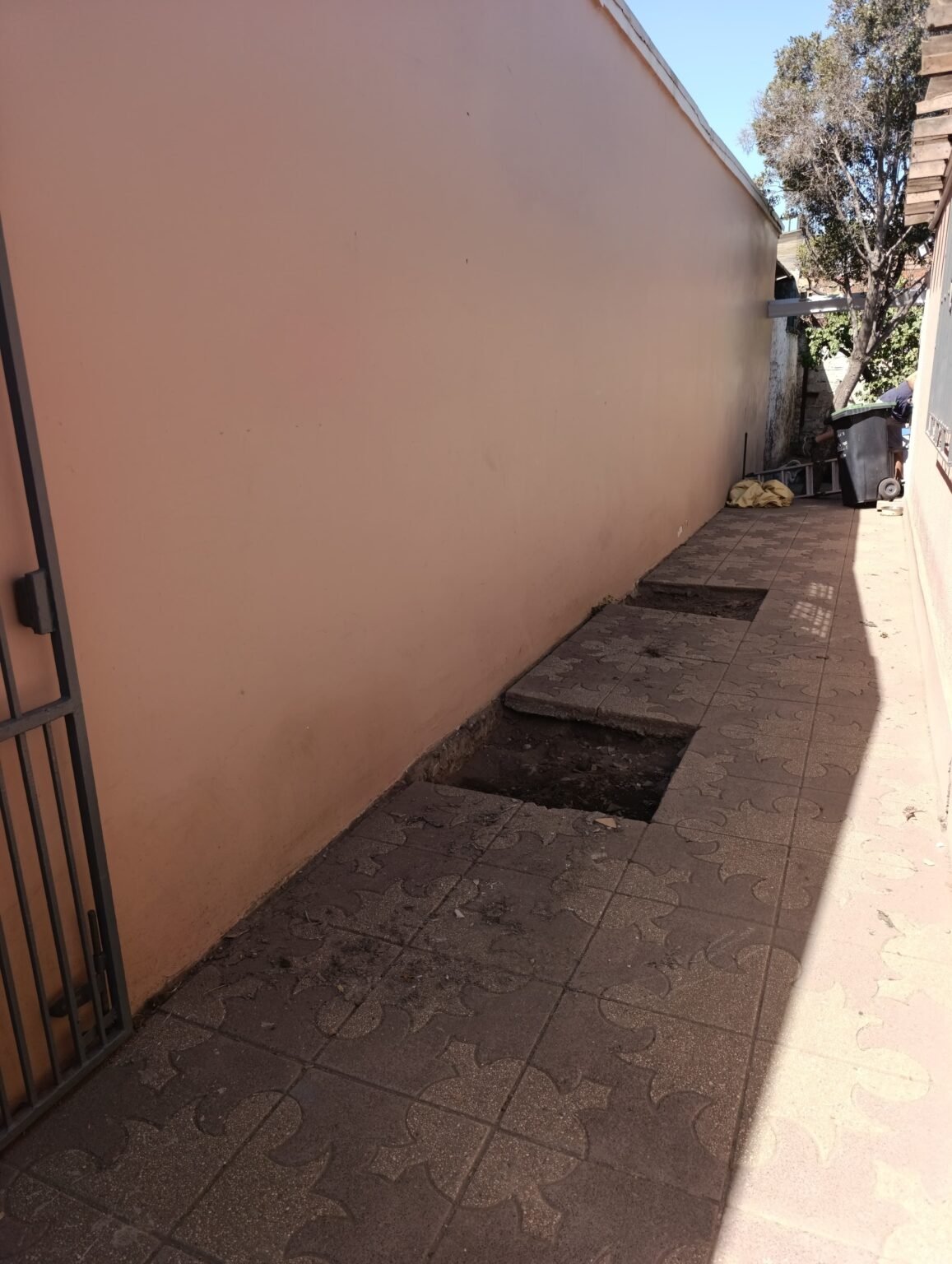 WhatsApp Image 2026-03-16 at 2.07.57 PM (1)