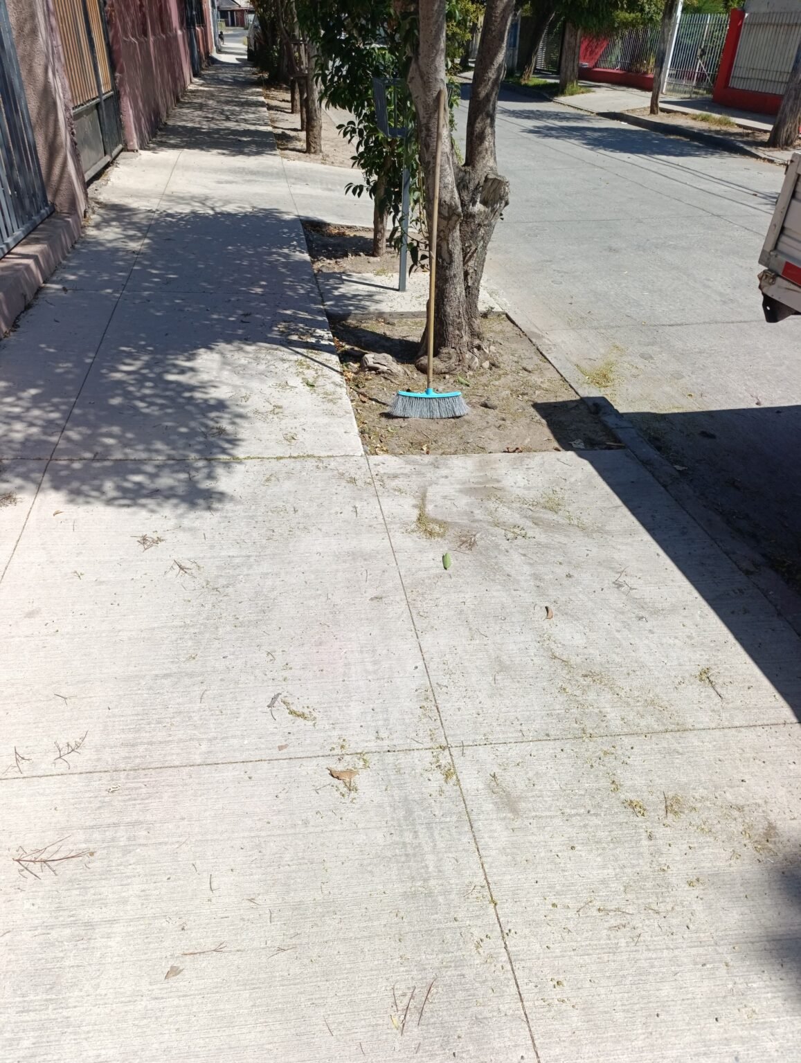 WhatsApp Image 2026-03-16 at 2.07.57 PM (3)