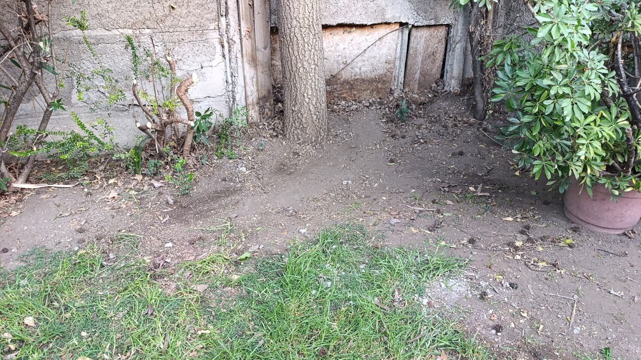 WhatsApp Image 2026-03-16 at 2.08.00 PM (2)