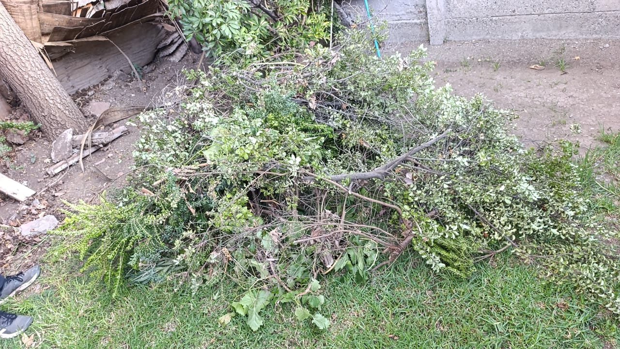 WhatsApp Image 2026-03-16 at 2.08.01 PM